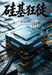 硅基狂徒第一部